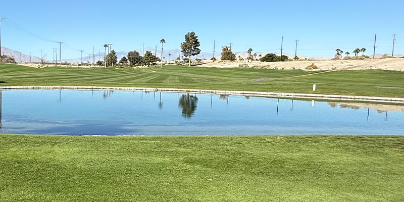 Millenium Course 11th Hole from tee box