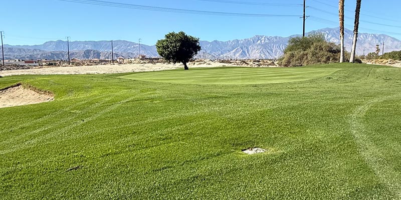 The green on the 12th hole on the Millennium course