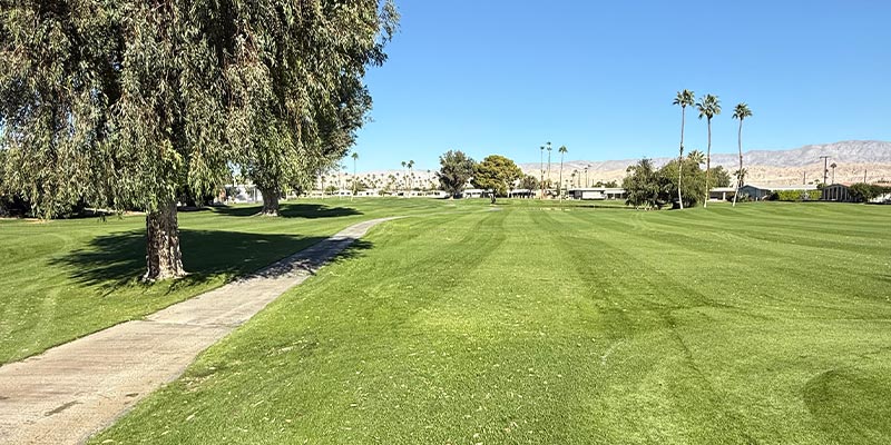 Millenium Course 14th Hole from tee box