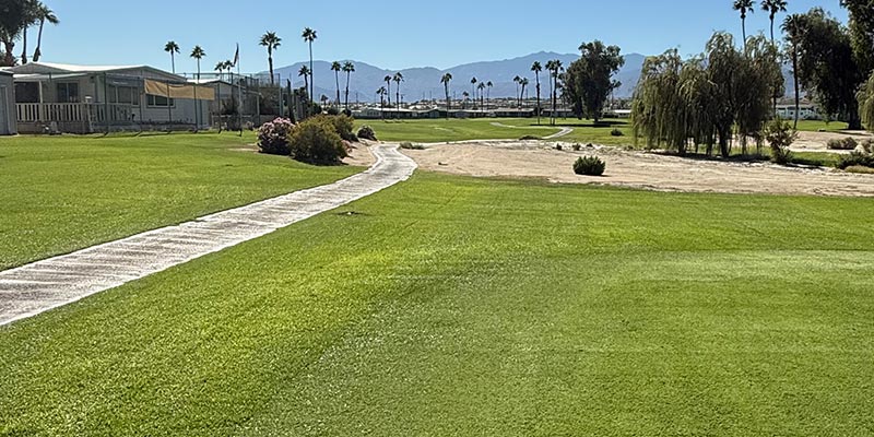 Millenium Course 15th Hole from tee box