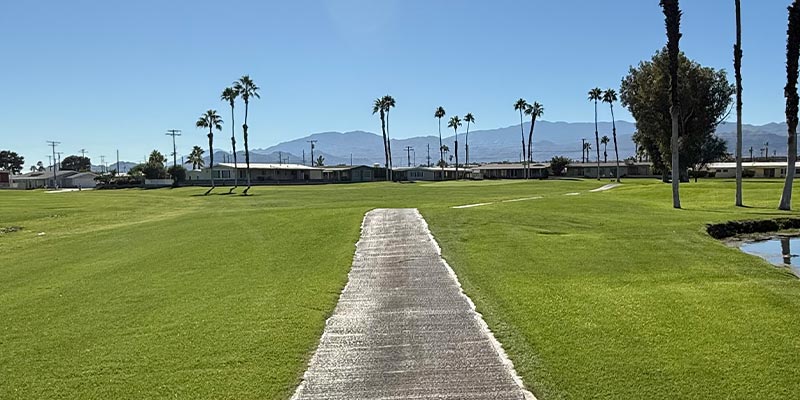 The green on the fifteenth hole on the Millennium course