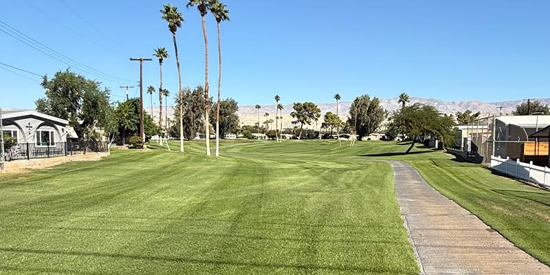 Millenium Course Fourth Hole from tee box