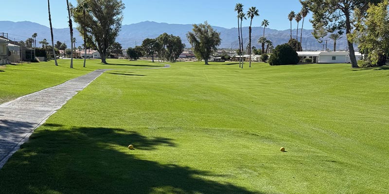 Millenium Course 3rd Hole from Gold Tees