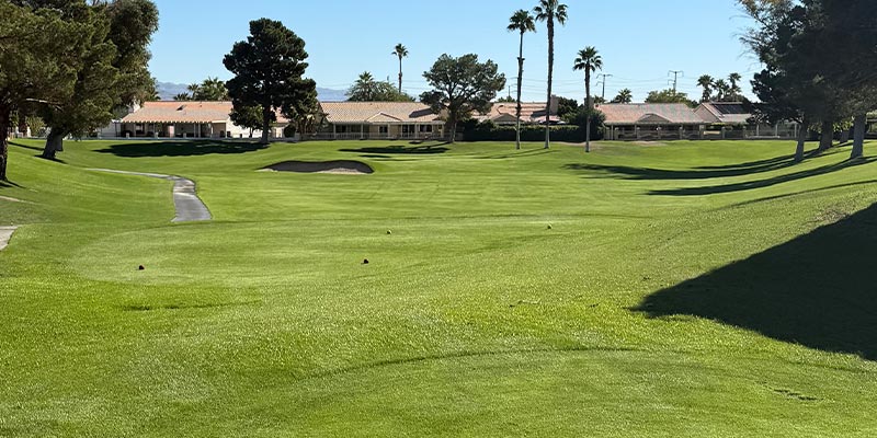 Millenium Course 4th Hole from tee box