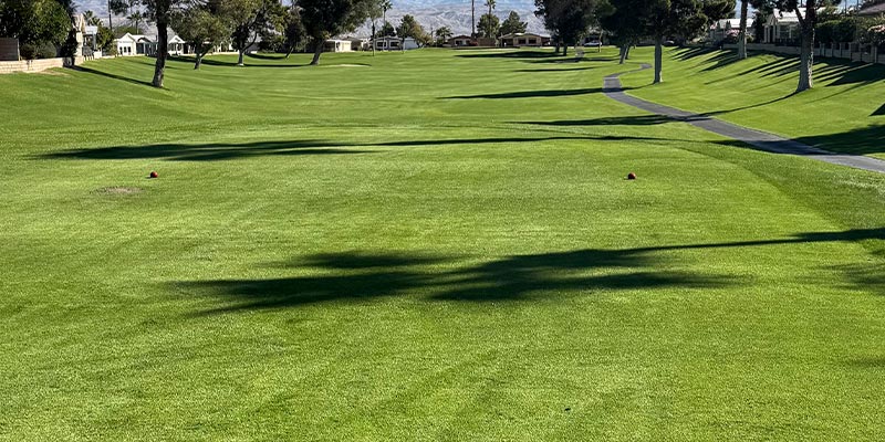 Millenium Course 5th Hole from tee box