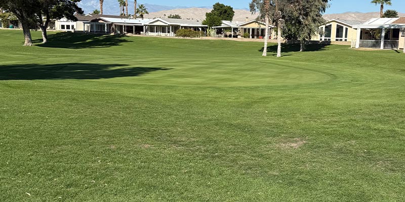 This is a look at the green on the 5th hole.