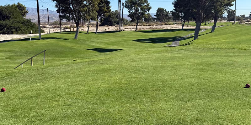 Millenium Course 7th Hole from tee box