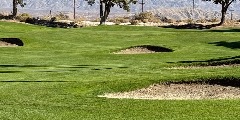 The green on the 8th hole on the Millennium course