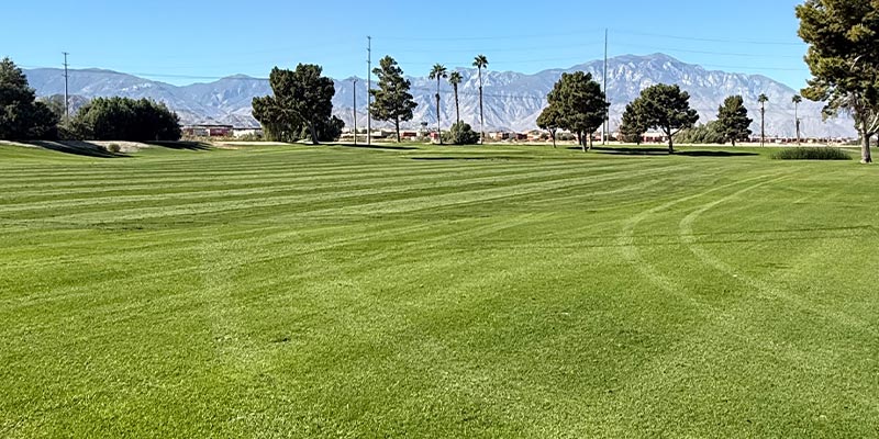 Millenium Course 9th Hole from tee box