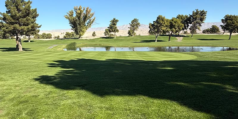 The green on the 10th hole on the Millennium course