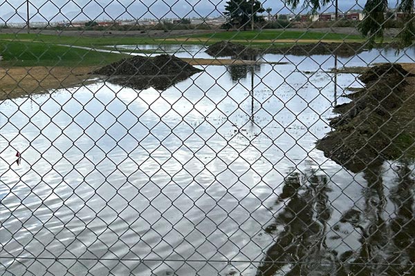 Opening day for the 2026 season on the Millennium Course