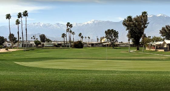 The Millennium Course